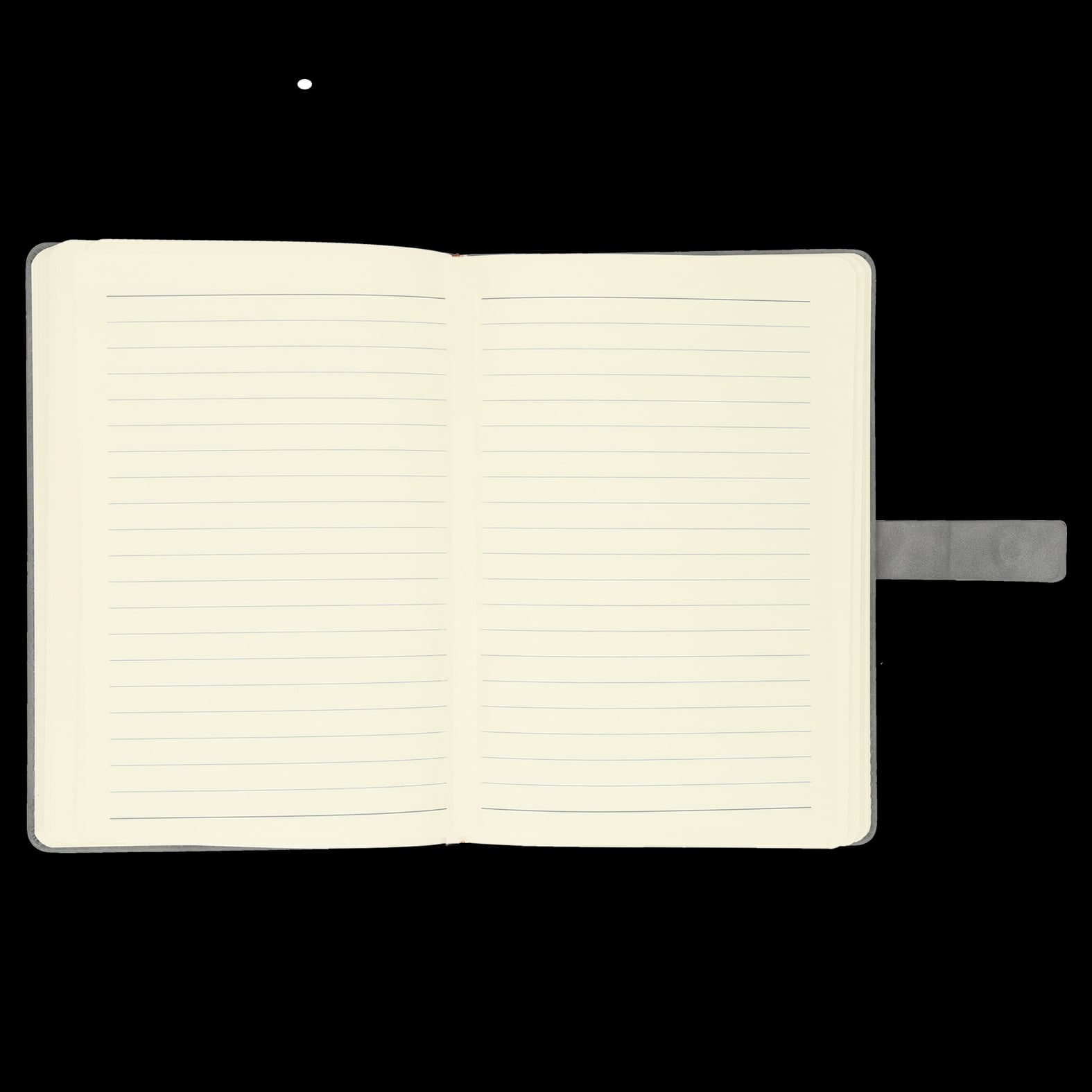 AGENDA PIEL RADREK