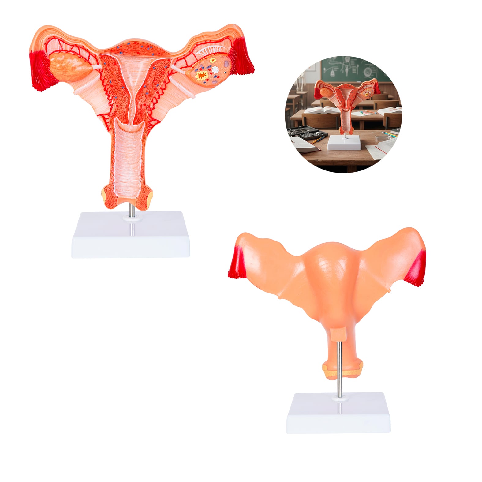 MODELO PVC SACNIC