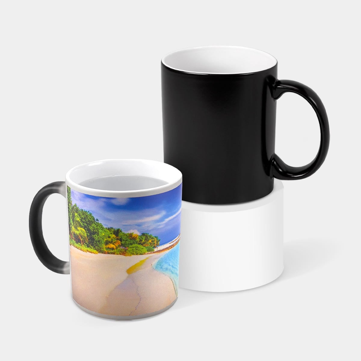 TAZA TAENIX