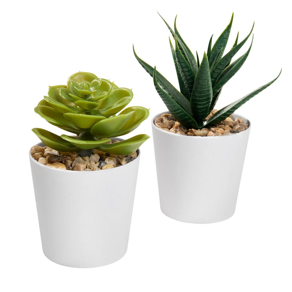 SET PLASTICO AACTOLT