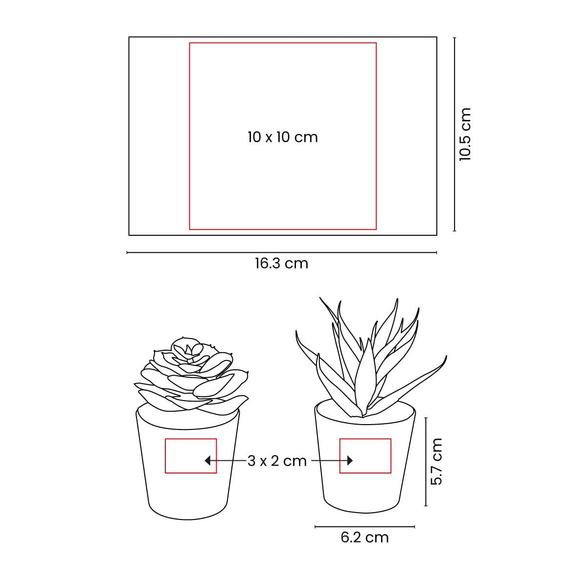SET PLASTICO AACTOLT