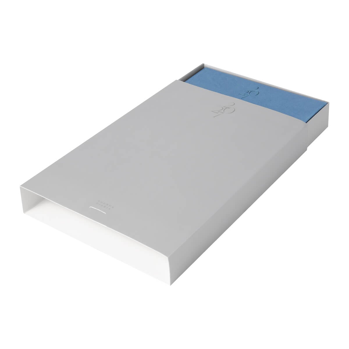 AGENDA CURPIEL BACNYNE