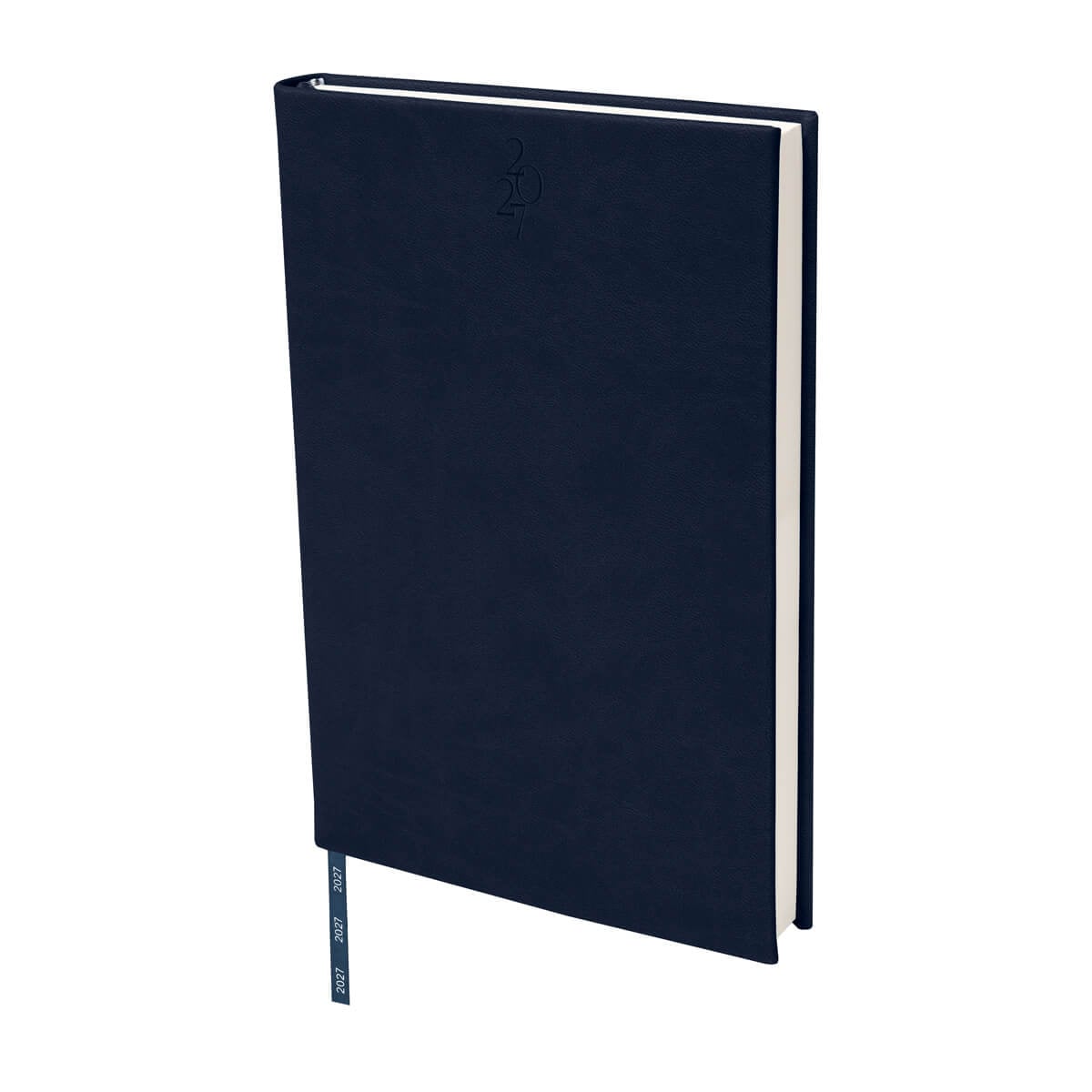 AGENDA CURPIEL BACNYNE