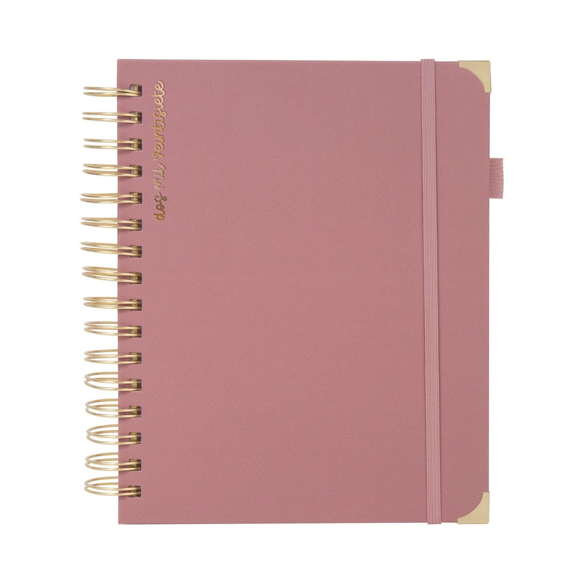 AGENDA CURPIEL BACOYLT