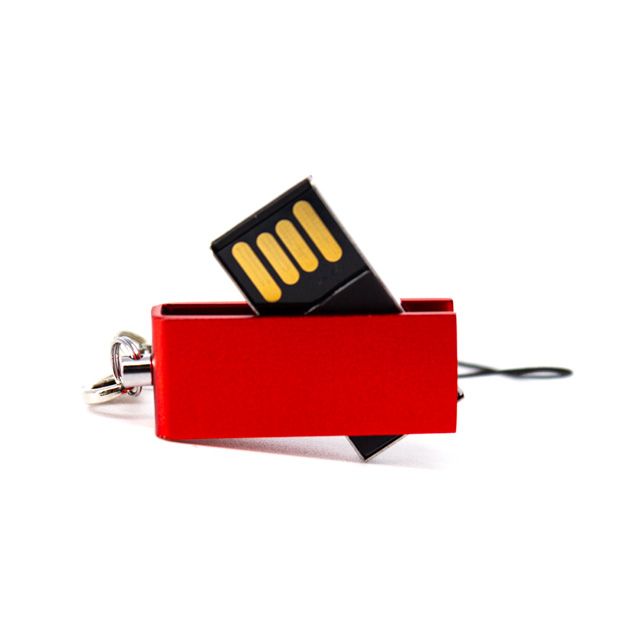 USB 4GB LACTYNE