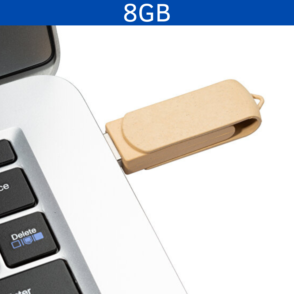 USB 8GB LADYNT