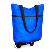 BOLSA POLISTER MAESAL