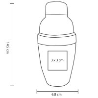MINI PLASTICO PACTYNA