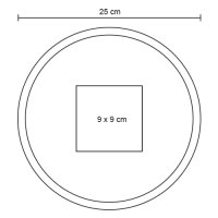 FRISBEE POLISTER RACNIC