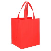 BOLSA NON WOVEN RADYNT