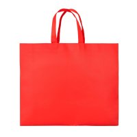 BOLSA NON WOVEN RADYRE