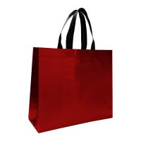 BOLSA NON WOVEN RAEAND