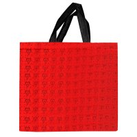 BOLSA NON WOVEN RAEBER