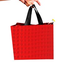 BOLSA NON WOVEN RAEBER