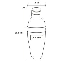 SHAKER ACERO INOX TACEELO