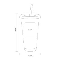 VASO VACLYNE
