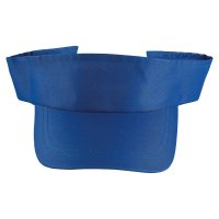VISERA POLISTER AACLAVO
