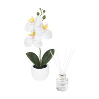 SET PLASTICO AACTOELD