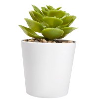 SET PLASTICO AACTOLT