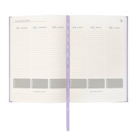AGENDA CURPIEL BACNUELM