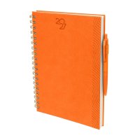 AGENDA CURPIEL BACORMO