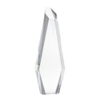 TROFEO VIDRIO K9 AADYNT