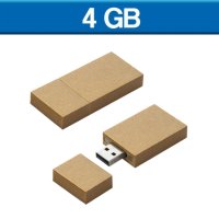 USB 4GB LACTVAL