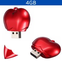 USB 4GB LADIAN