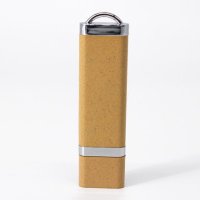 USB 8GB LADIZM