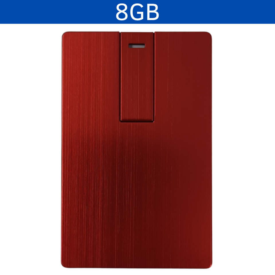 USB 8GB LADYLT