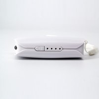 POWER BANK LAEUSE