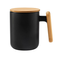TAZA BROIRIT