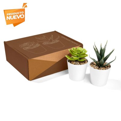 SET PLASTICO AACTOLT